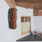 Bischahof Aktivrefugium Pansiyon Duns